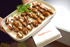 KNOLL CATWALK FASHION SHOW